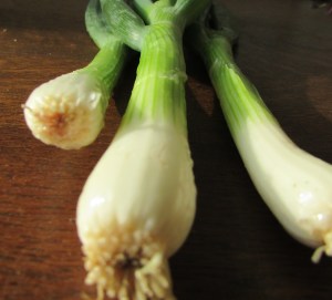 3. Spring onions