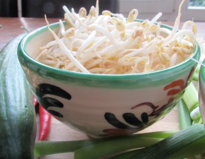 beansprouts